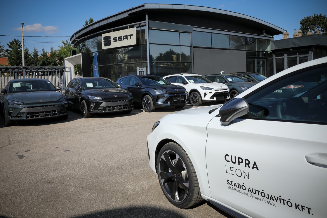 Cupra_Szabo-1061.jpg